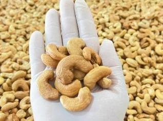 Castanha de Caju W1 Torrada - 1kg
