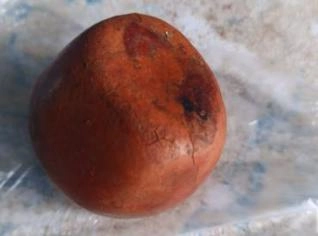 Compra de Pedra de Fel do Boi - Grátis em Prata