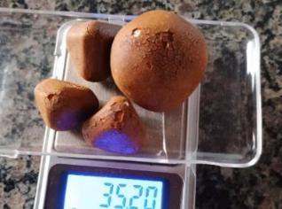 Compra de Pedra de Fel do Boi - Preço R$600,00
