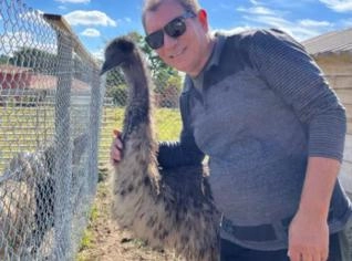 Filhote de Emu Australiano - R$3000 - Indaiatuba, SP