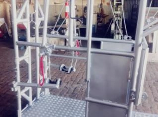 Tronco Casqueador Bovino para Manejo Seguro