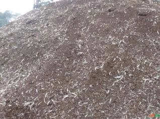 Esterco de Galinha Seco - Adubo Orgânico Natural