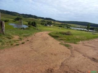 Fazenda Completa em Barra do Ribeiro - 55 Hectares