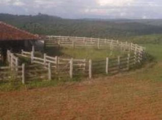Mangueira Completa Para Gado com Balança e Brete