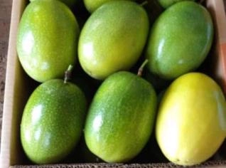 Compro Maracujá Fresco no RJ