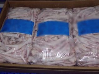 Pé de Frango Tipo A e B para Exportação