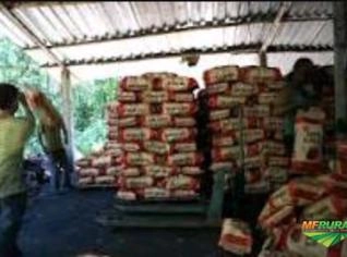 Carvão Vegetal Premium para Churrasco - Rondônia