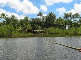 Terra à venda na Bahia - Paraíso ecológico Camamu
