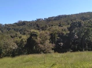 Áreas para Reserva Legal em Mata Nativa Preservada