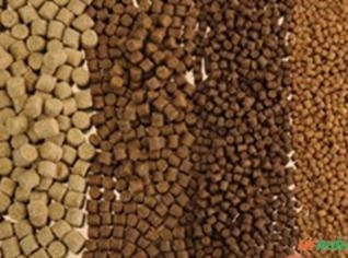 Ração Extrusada para Peixes 25kg em Olho D