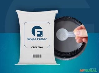 Creatina de Alta Qualidade em São João da Boa Vista