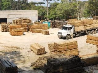 Pallets PBR Prontos para Uso - Qualidade e Economia