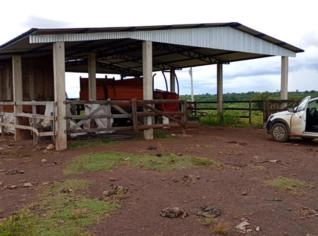 Fazenda de 535 hectares em Nobres - MT