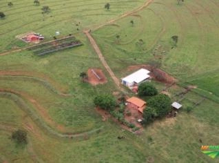 Fazenda Campina Verde MG - 50 alqueires à venda