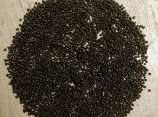 Pimenta do Reino Premium para Exportação