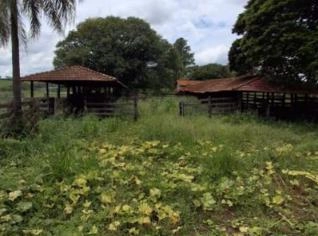 Curral Completo à Venda em Itápolis