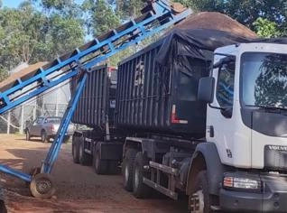 Compra e Venda de Cama de Frango em Cambira - PR