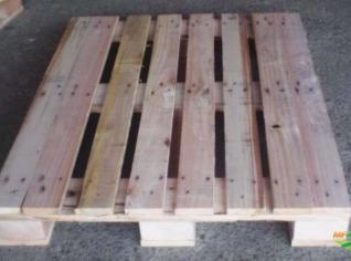 Pallets e Madeiras em Eucalipto Reflorestado
