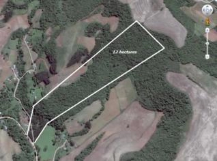 Imóvel Rural com 12 Hectares em David Canabarro - RS