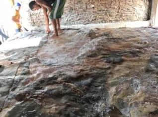 Compra de Couro Salgado Bovino e Búfalo Brasil