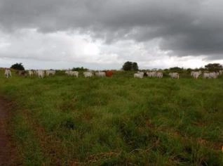 Fazenda de Irrigação 168ha em Alagoinha, PB