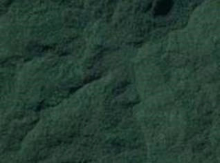 Reserva Legal de Mata Atlântica - 650 Hectares