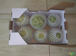 Pinha (Fruta do Conde) Direto do Produtor Baiana