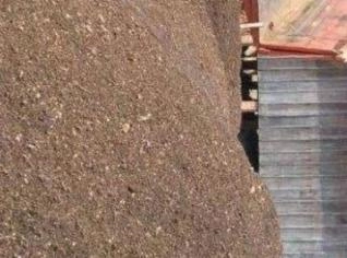 Esterco de Galinha Compostado para Adubação Orgânica