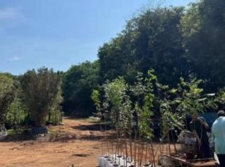 Big Bags para Plantas - Alta Durabilidade e Economia