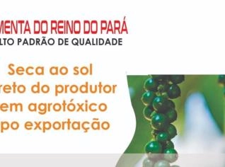 Pimenta do Reino Preta do Pará para Exportação
