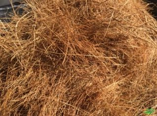 Fibra de Coco Natural para Jardinagem e Compostagem