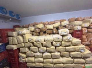 Polpa de Cupuaçu 100% Pura - 30kg
