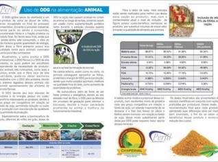 DDG de Milho Premium em Maringá - PR