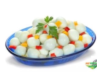 Ovos de Codorna em Conserva - Pacotes 250g e 900g