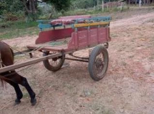 Burro para serviço e carroça em bom estado
