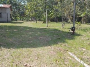 Terreno 8ha com Açaí em Bujaru, Pará