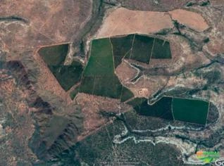 Fazenda 547 ha com 260 ha de Eucalipto no Norte de MG