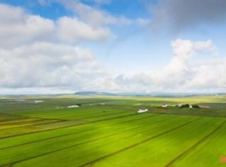 Fazenda à venda em Araras com plantação de cana
