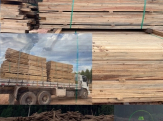 Madeira Serrada Pinus para Pallets - Itabira MG