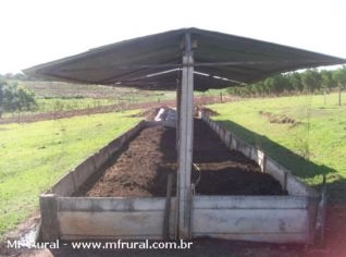 Húmus de Minhoca Premium sem Terra - 50kg