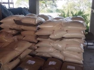 Soro de Leite em Pó - 8 Toneladas Disponíveis