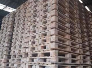 Pallets Novos – Diversos Modelos e Medidas