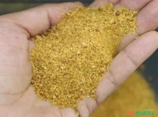 DDG de Milho - Alta Proteína em SP