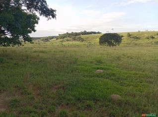 Fazenda de 128,82 ha em São Francisco de Itabapoana