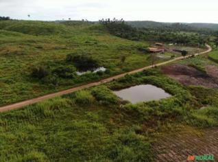 Fazenda regularizada em Aldeias Altas - 140 hectares