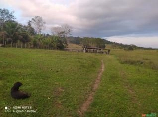 Fazenda à venda no Sul da Bahia - Camacan, BA