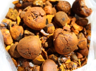 Compra pedra de fel bovino em Goiânia