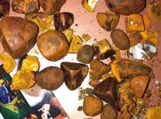 Compra de pedra de fel bovino em Goiás