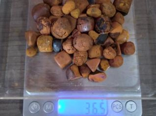 Compra de Pedra de Fel Bovina em São Leopoldo - RS