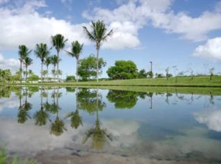 Terreno à Venda no Litoral Norte Baiano - Reserva Sauípe